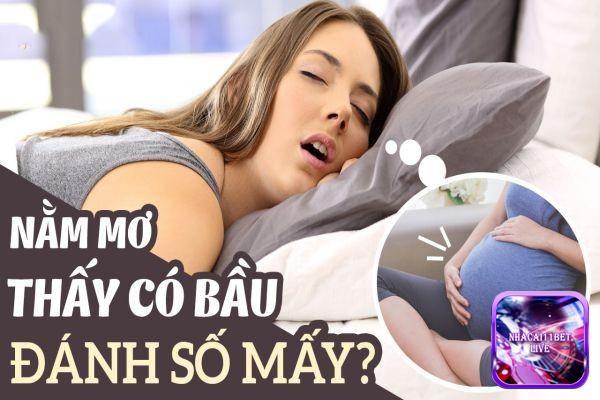 Nằm mơ thấy có bầu đánh con gì?