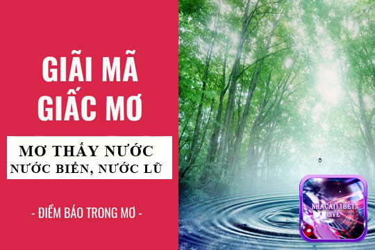 Nằm mơ thấy nước báo hiệu điềm gì?